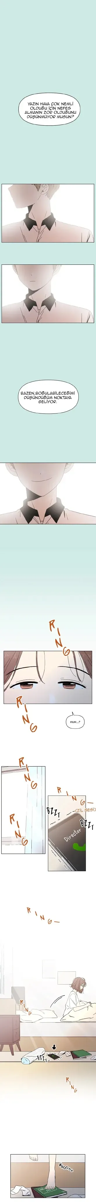 Sayfa 1