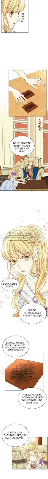 Sayfa 5