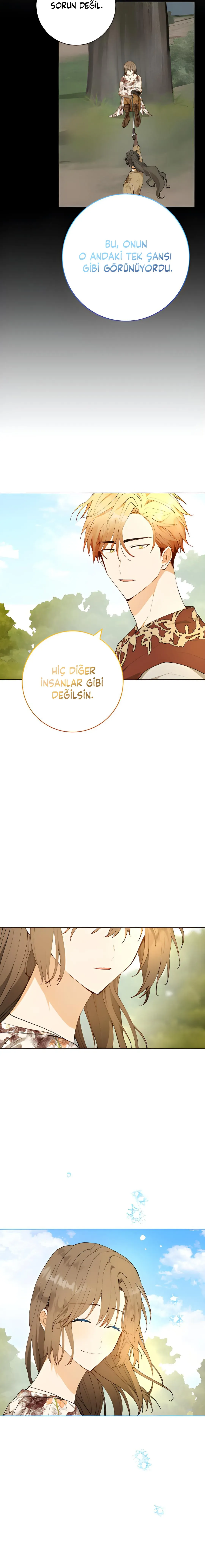 Sayfa 6