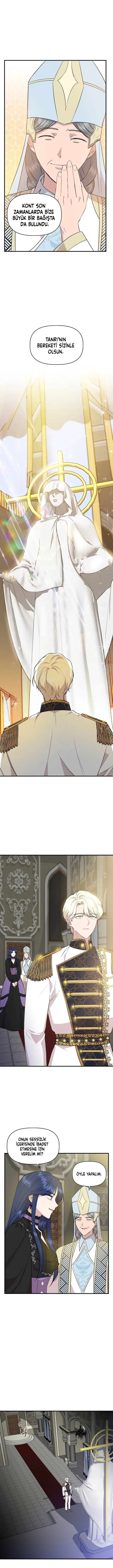 Sayfa 6