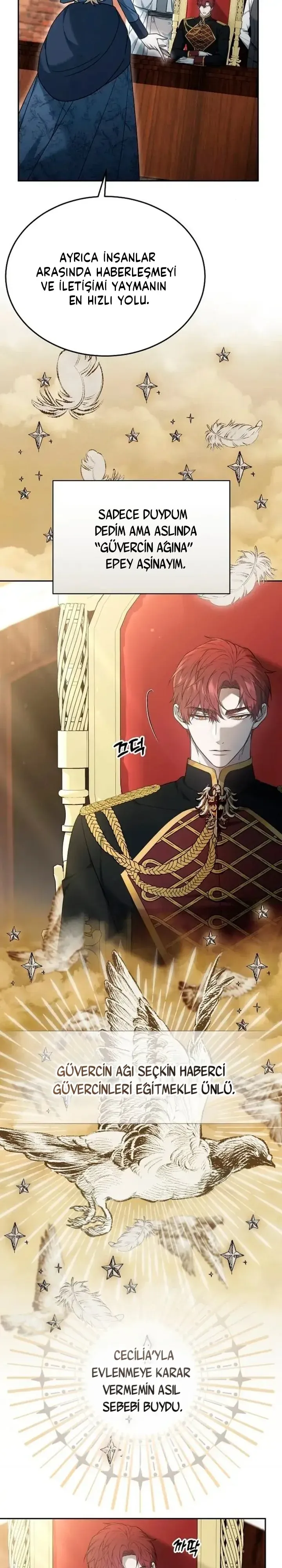Sayfa 5
