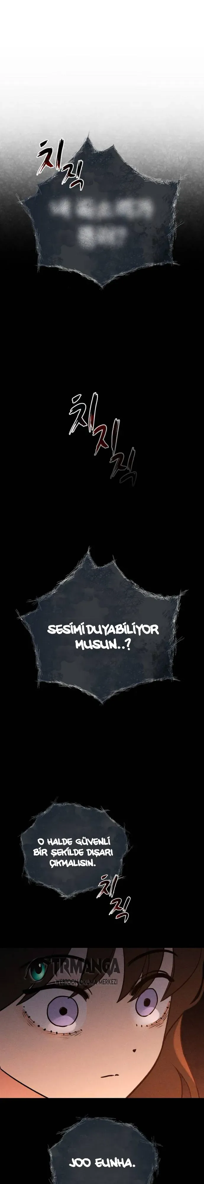 Sayfa 1