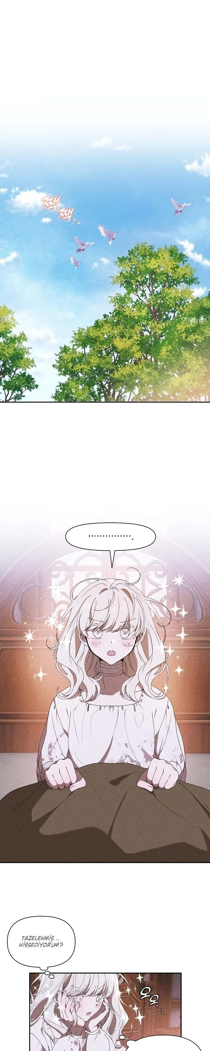 Sayfa 1