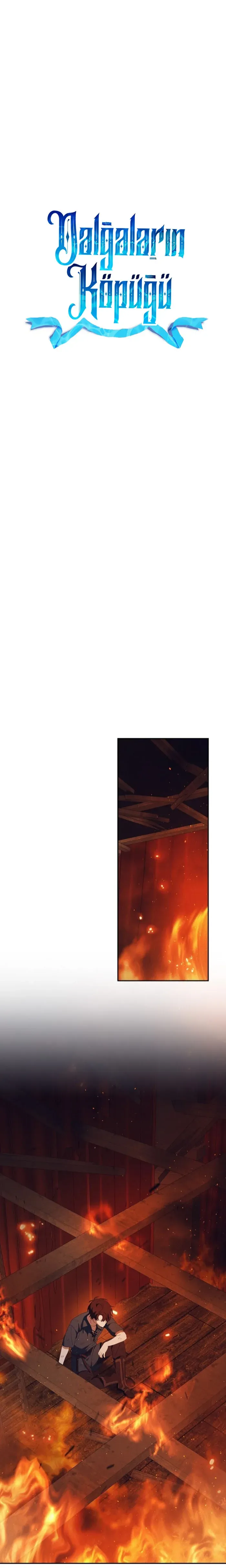 Sayfa 1