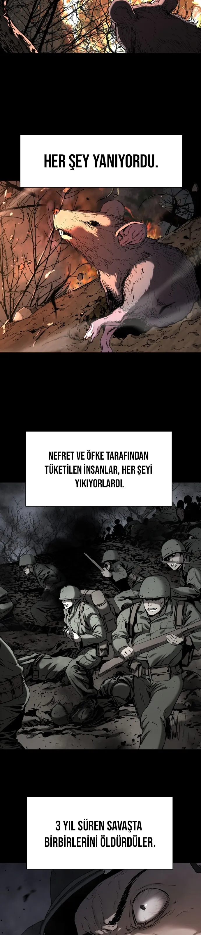 Sayfa 5