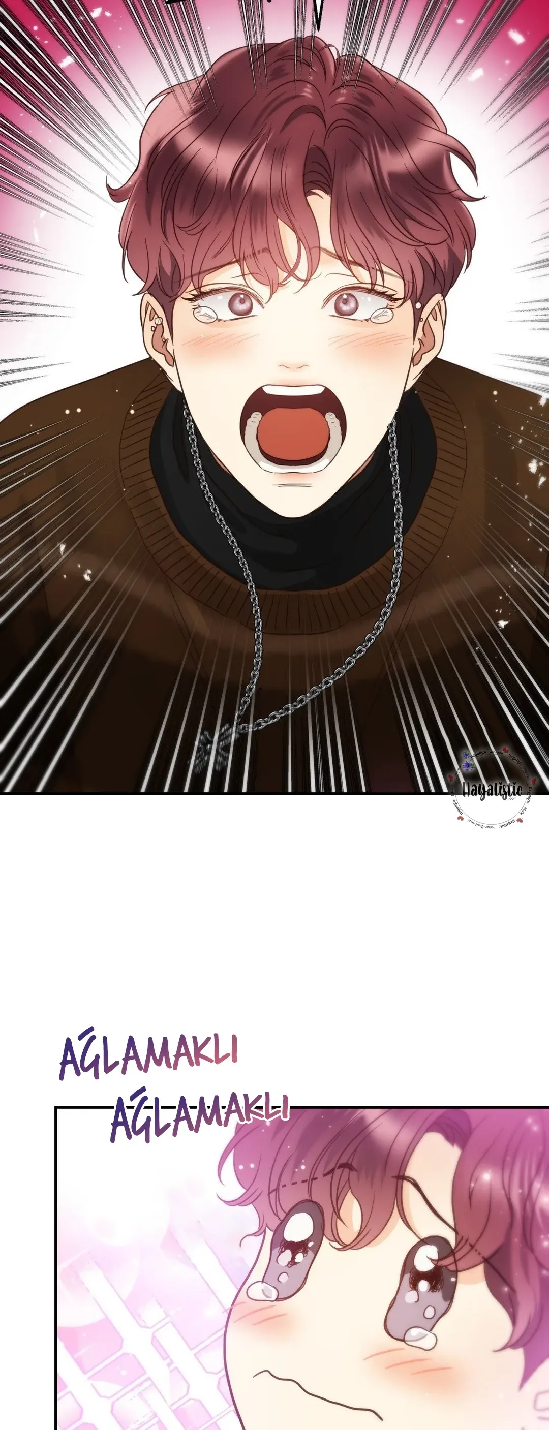 Sayfa 6