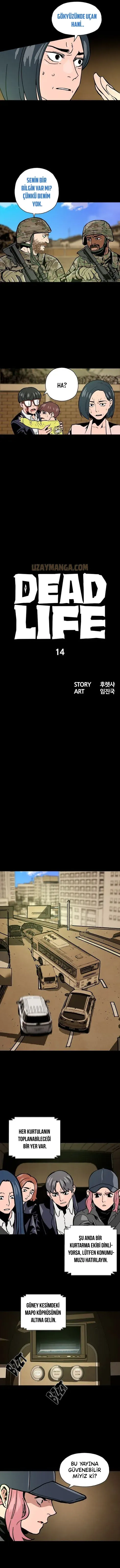 Sayfa 5