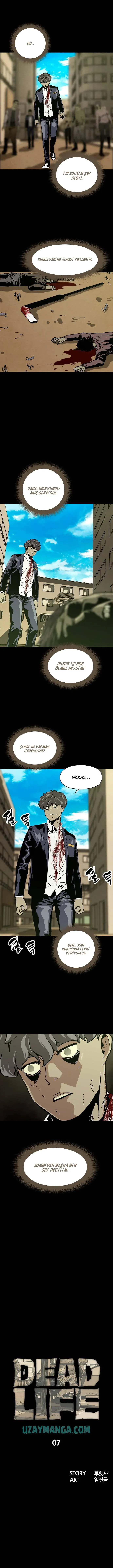 Sayfa 5