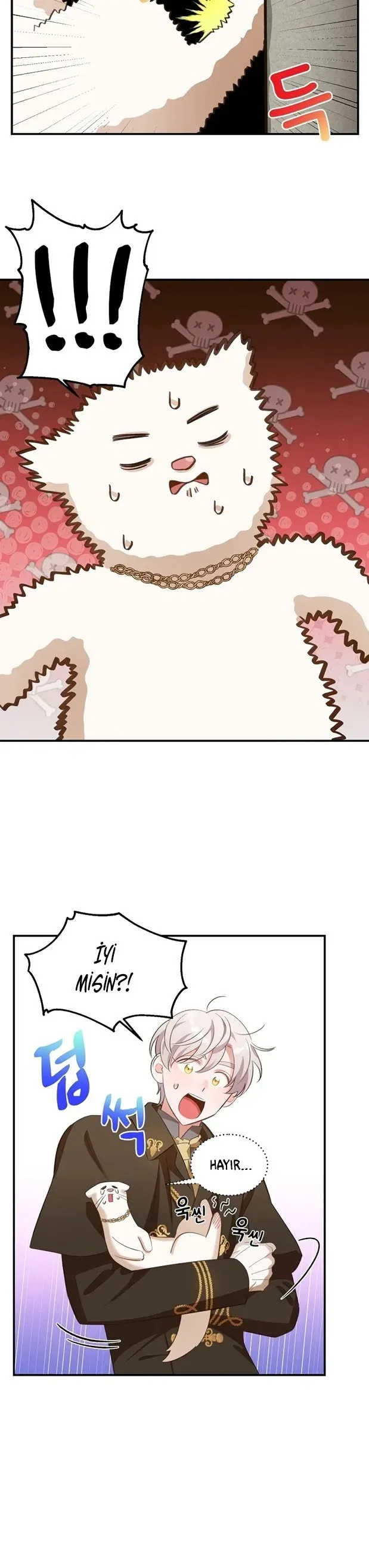 Sayfa 5