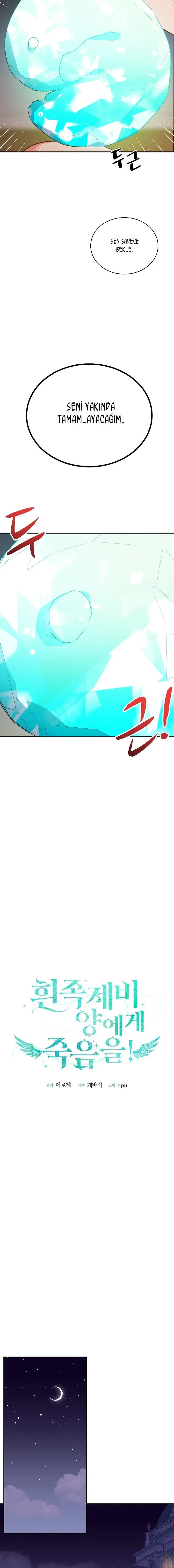 Sayfa 5