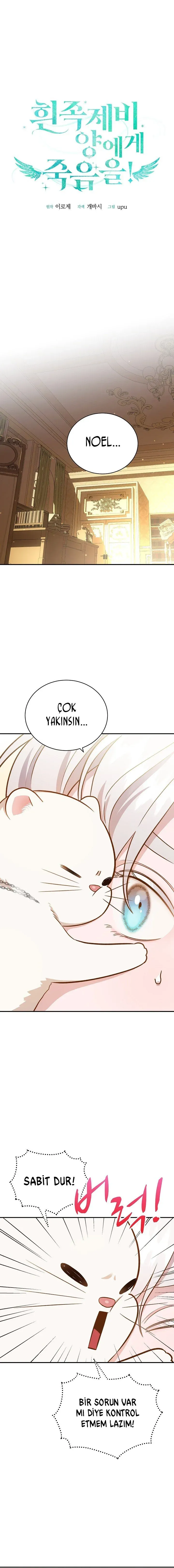 Sayfa 2