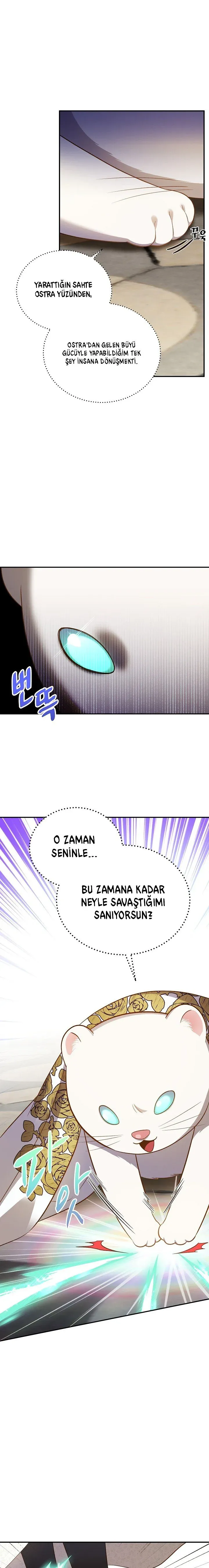 Sayfa 4