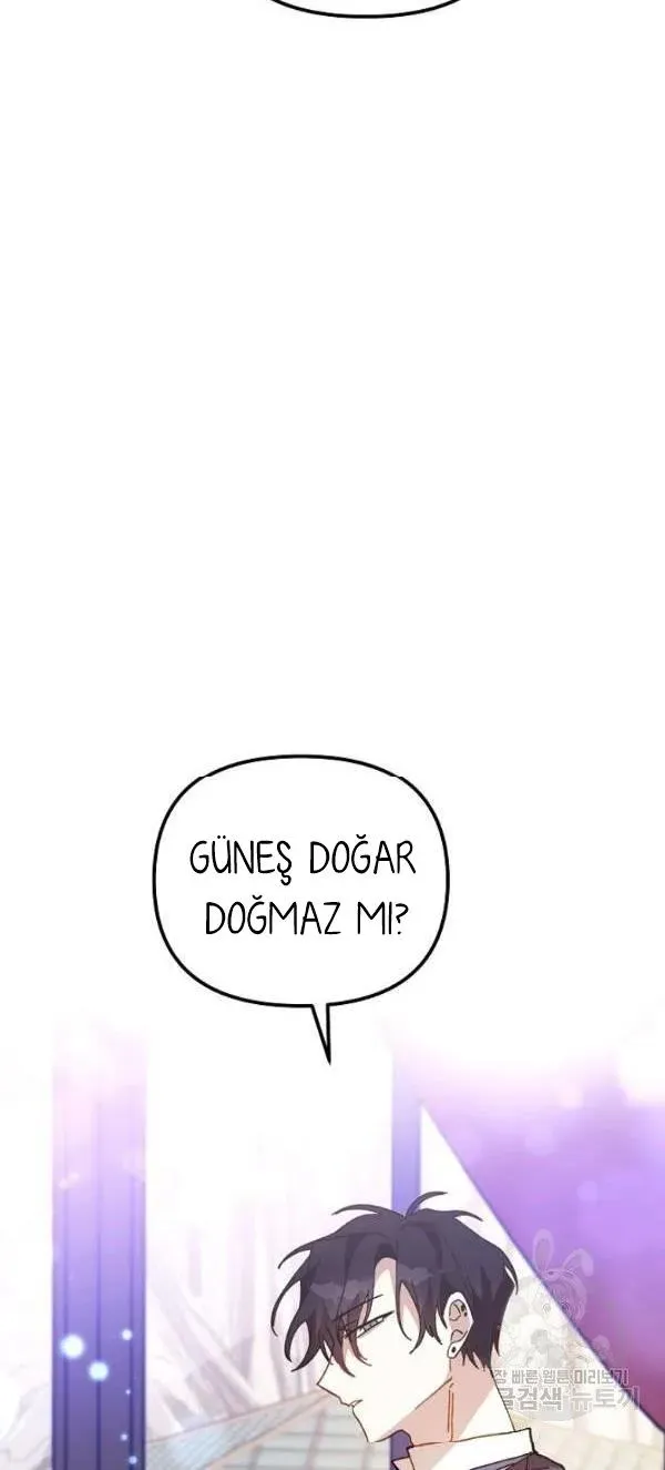 Sayfa 5