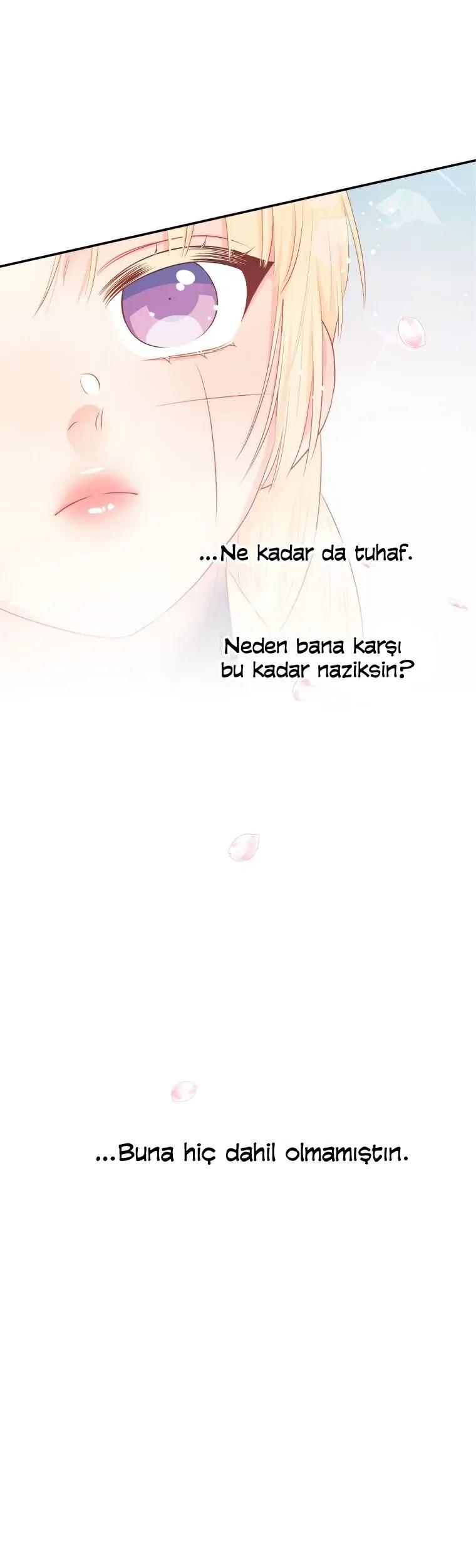 Sayfa 2