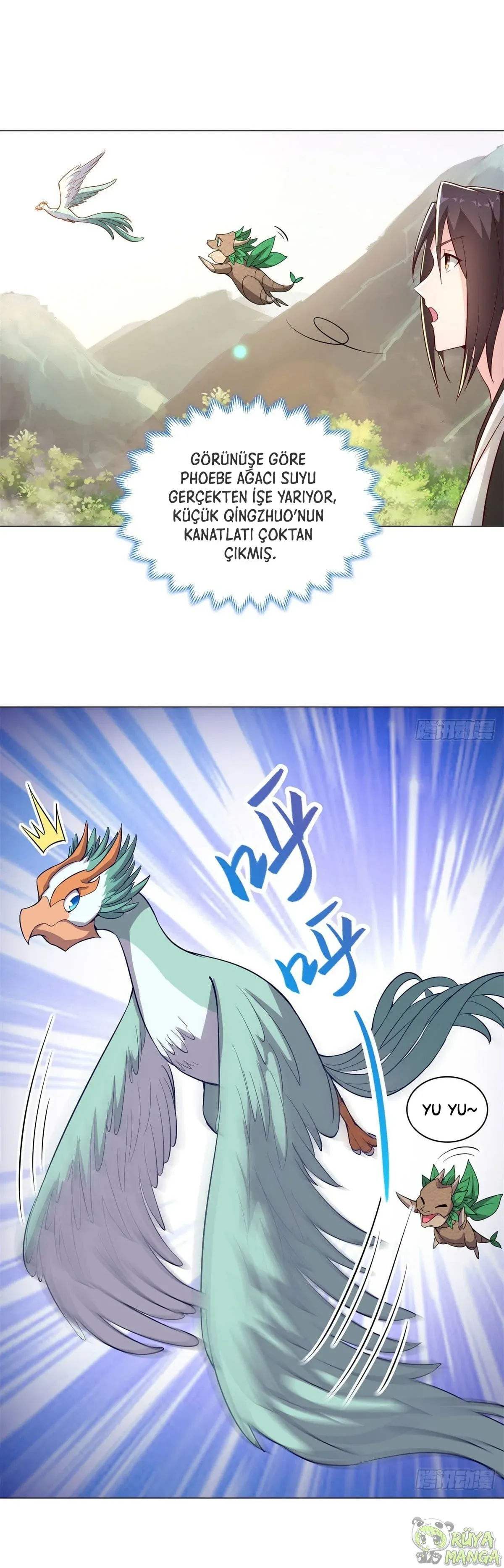 Sayfa 5