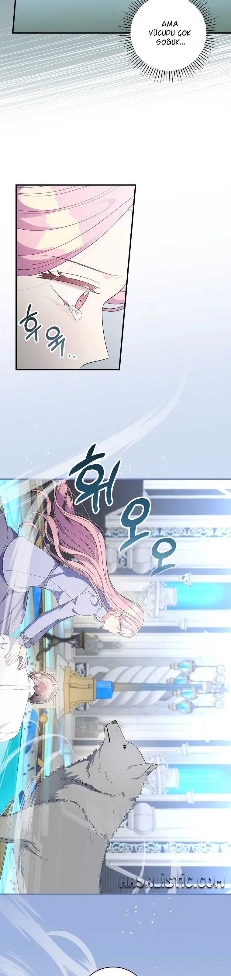 Sayfa 5