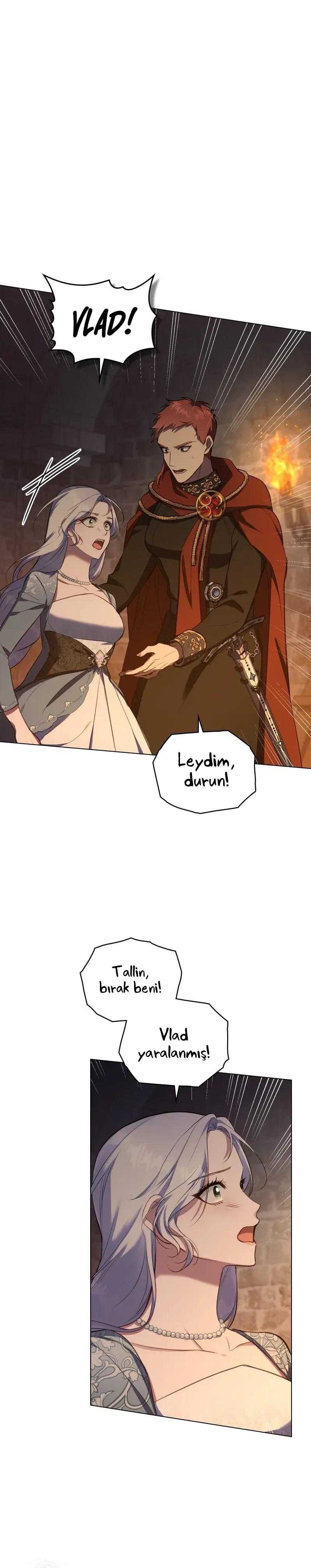 Sayfa 1