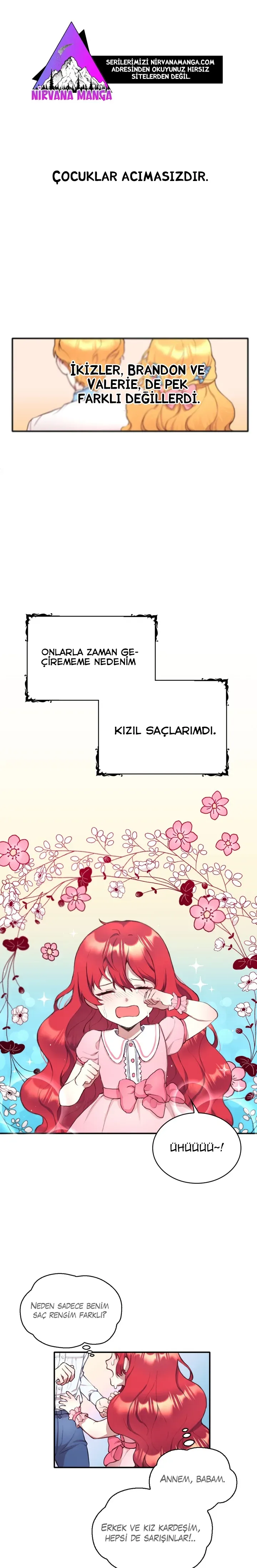 Sayfa 1