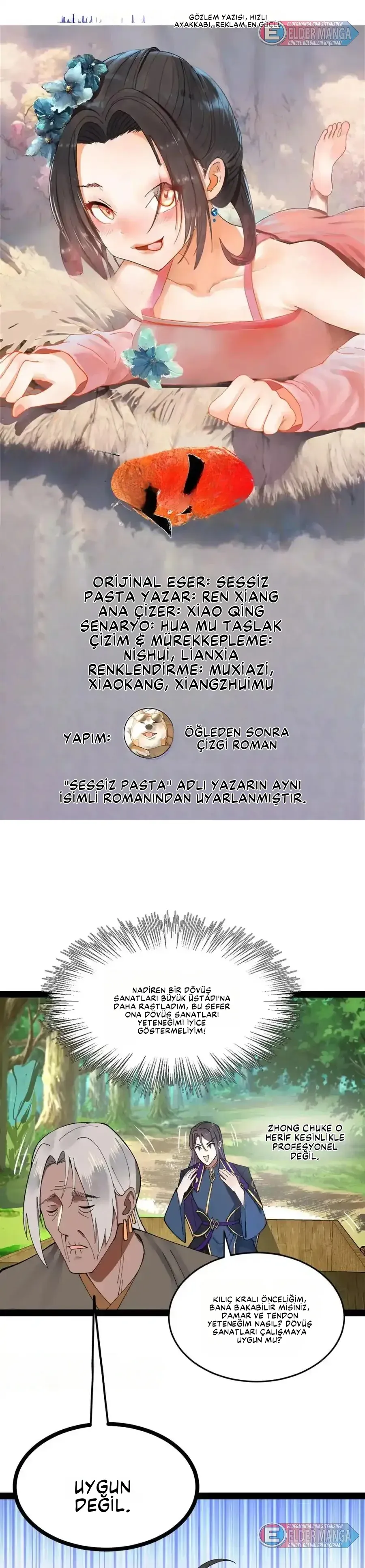 Sayfa 1