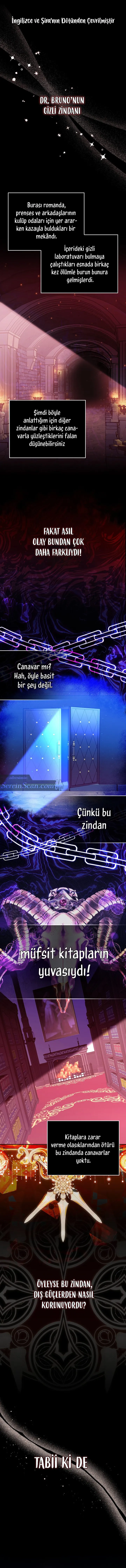 Sayfa 2