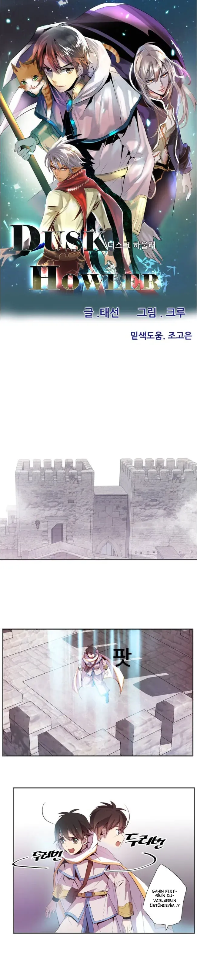 Sayfa 1