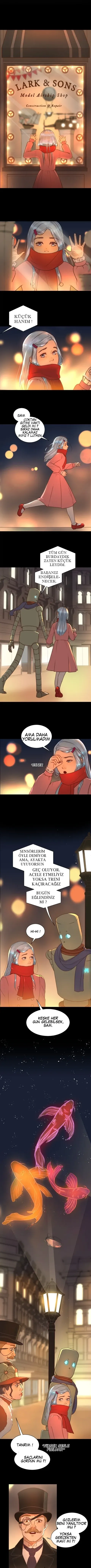 Sayfa 1