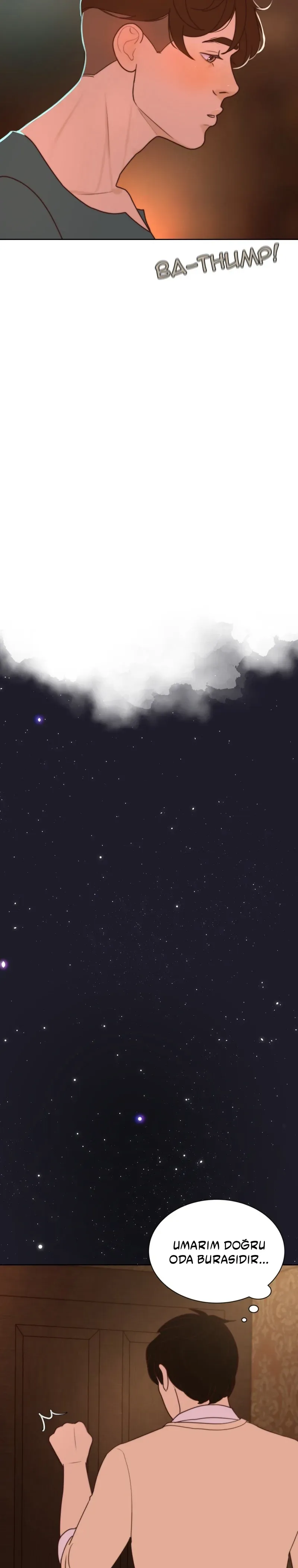 Sayfa 5