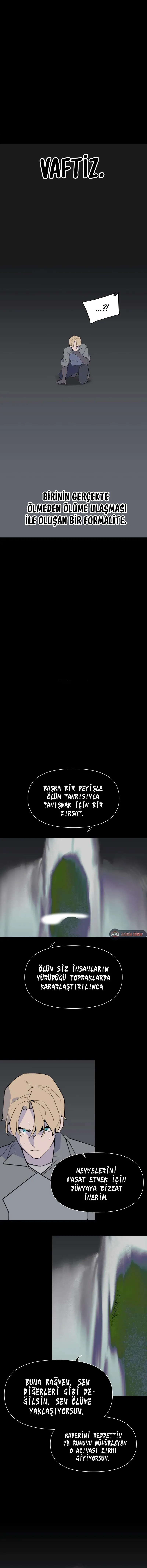 Sayfa 1
