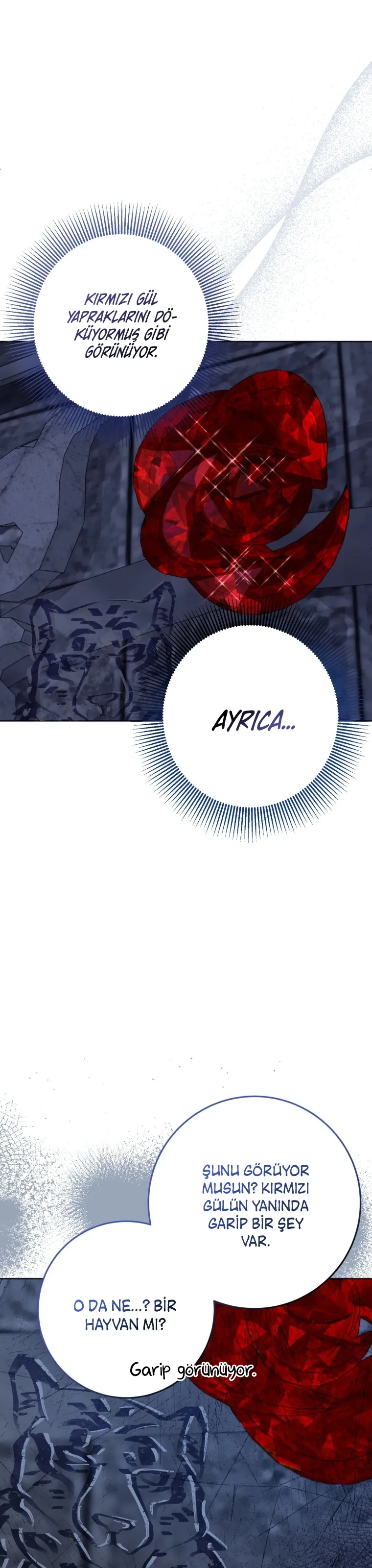 Sayfa 4