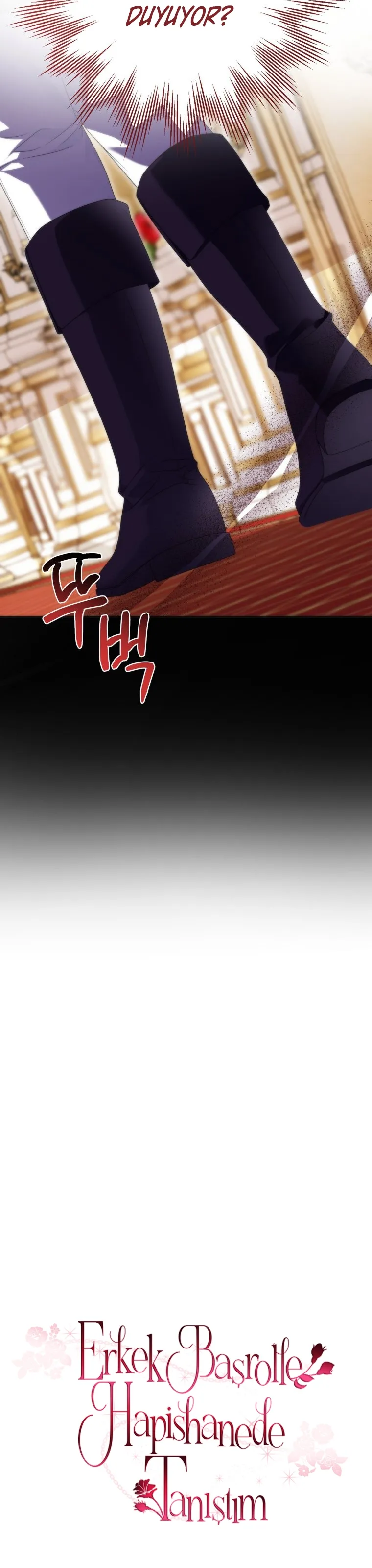 Sayfa 5