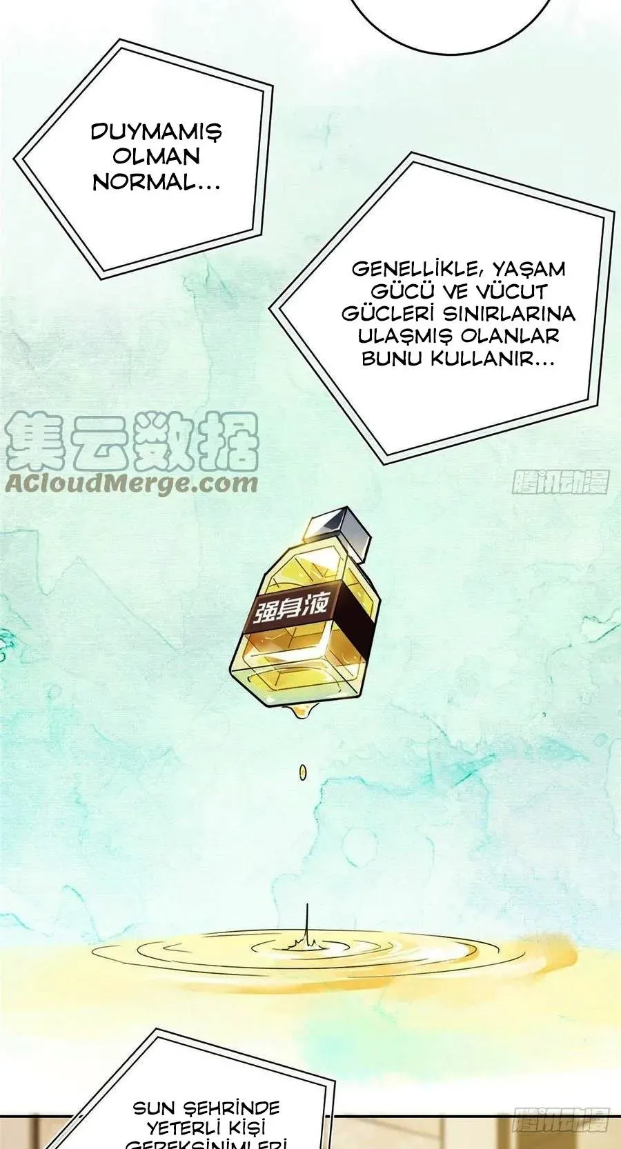 Sayfa 5
