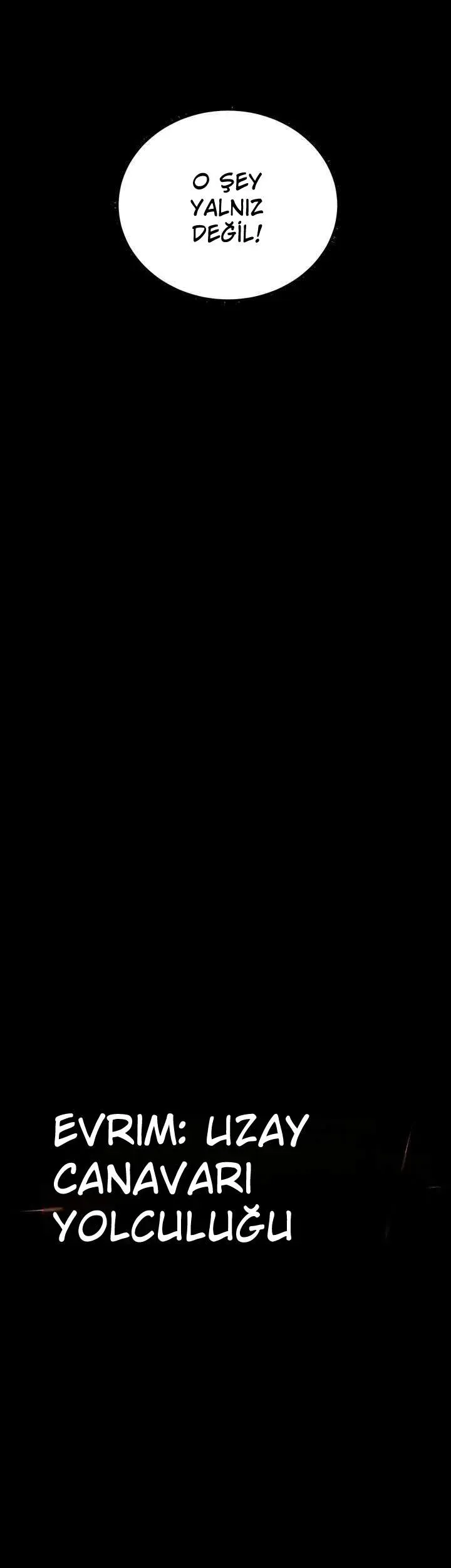 Sayfa 5