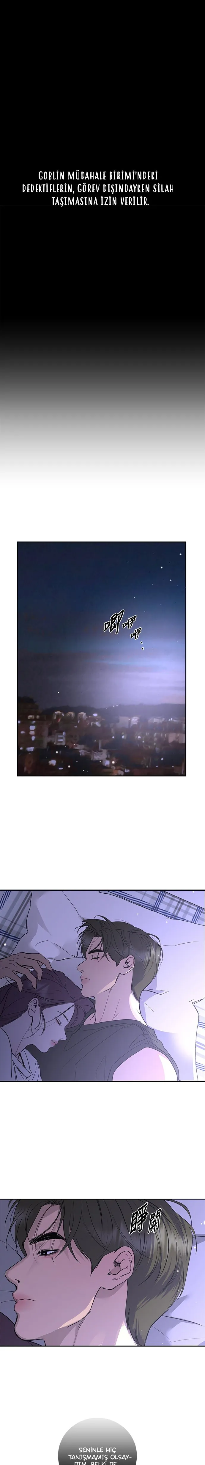 Sayfa 2