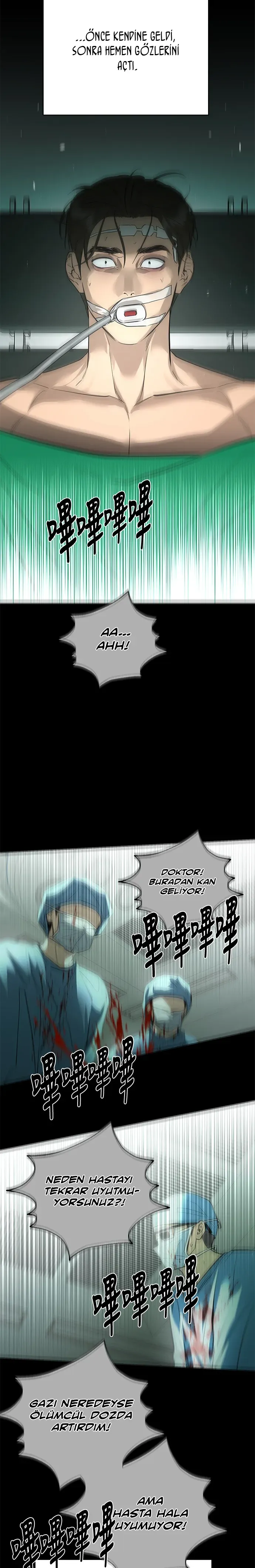 Sayfa 5