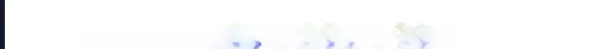 Sayfa 1