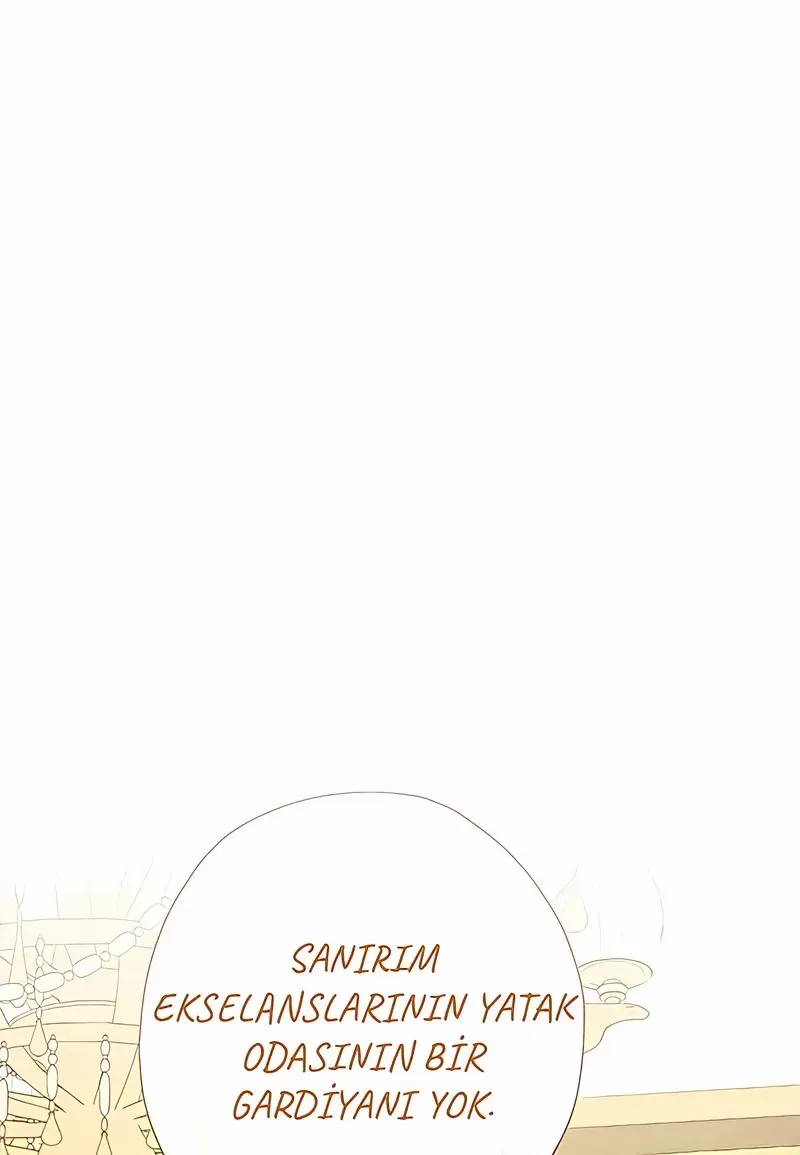 Sayfa 1