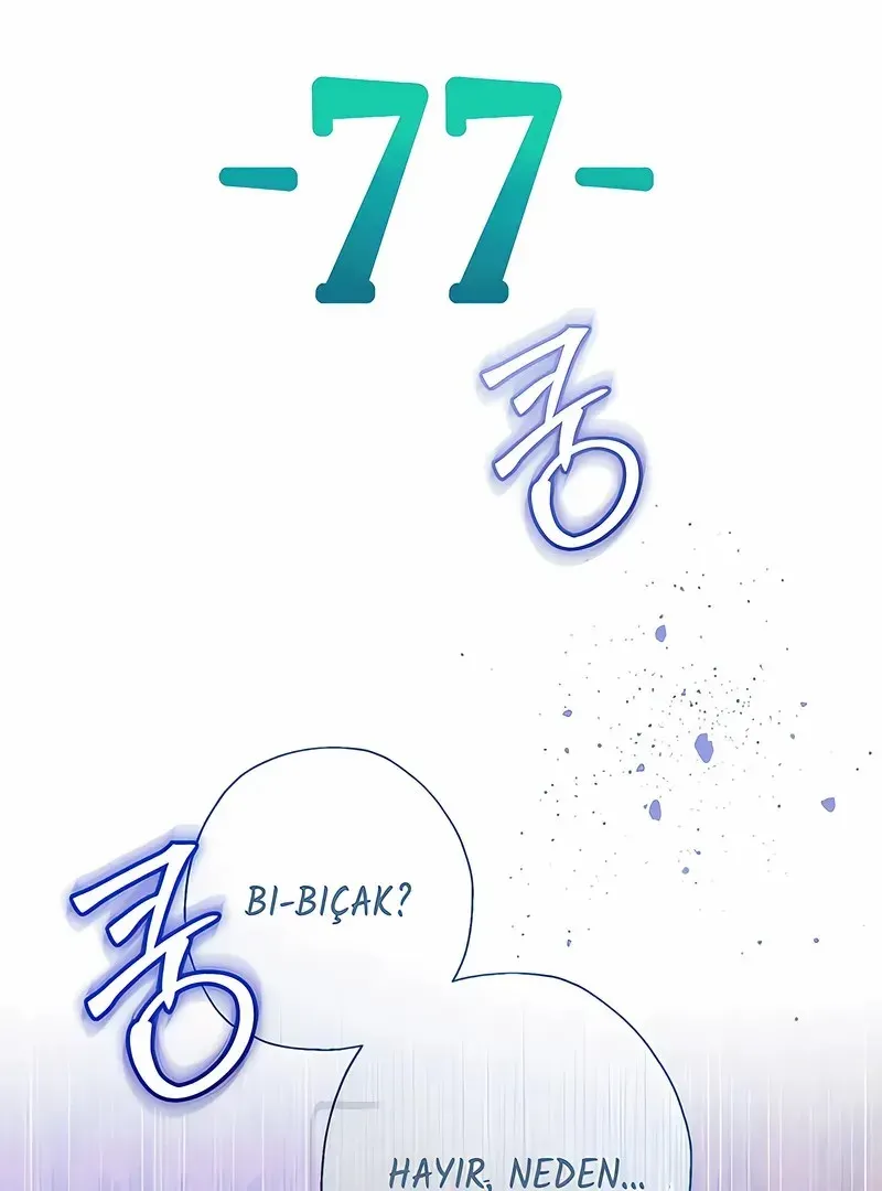 Sayfa 1