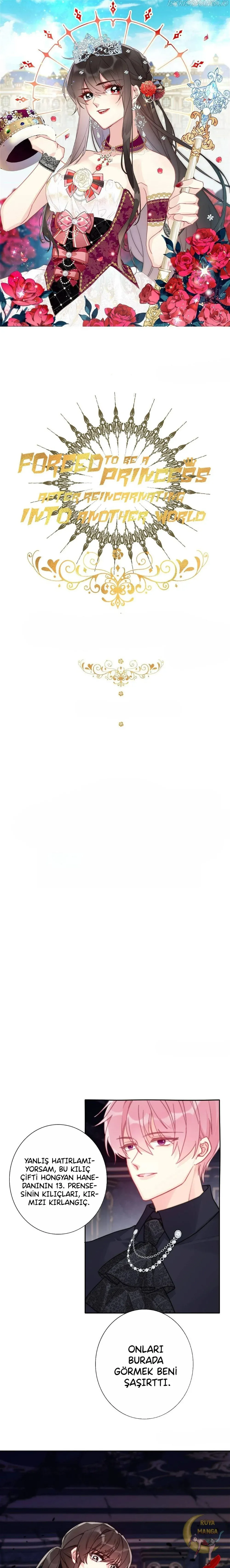 Sayfa 1