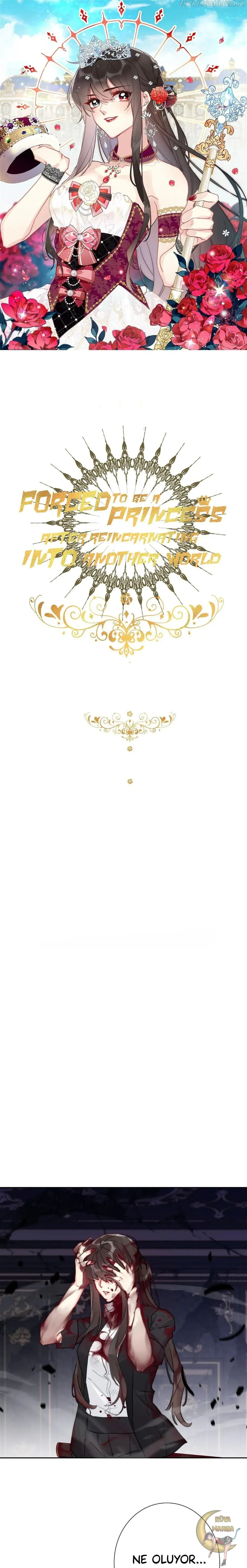 Sayfa 1