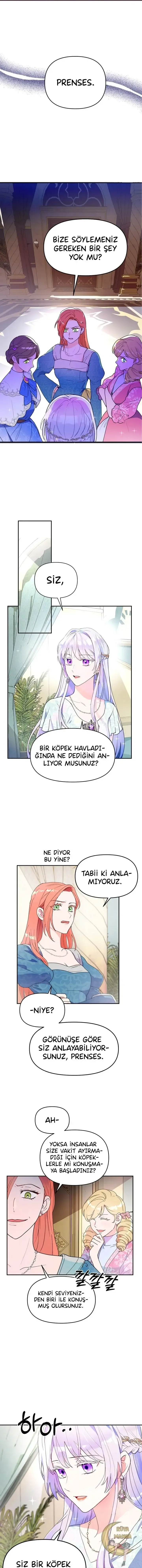 Sayfa 2