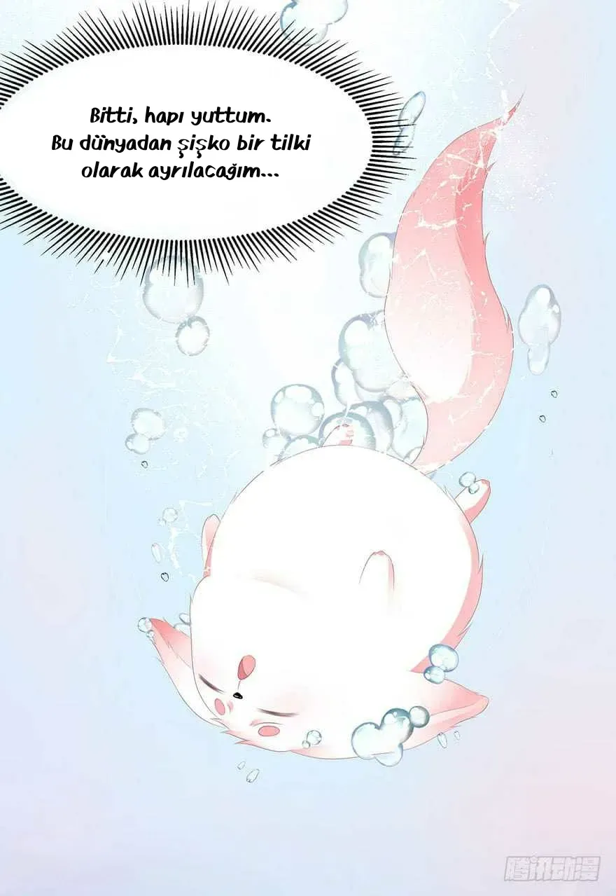 Sayfa 2