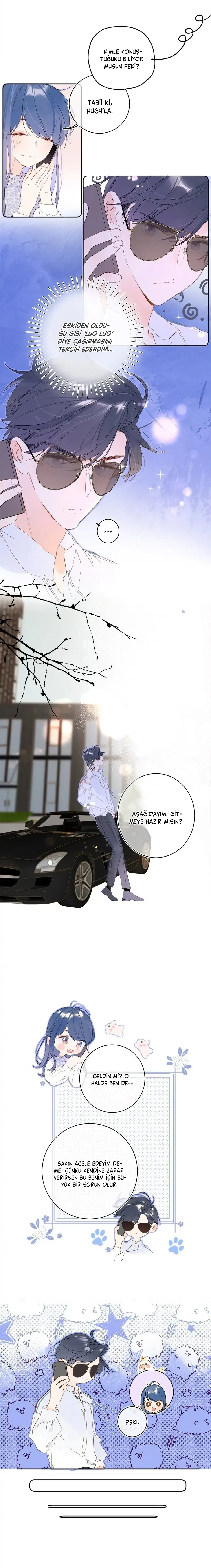 Sayfa 5