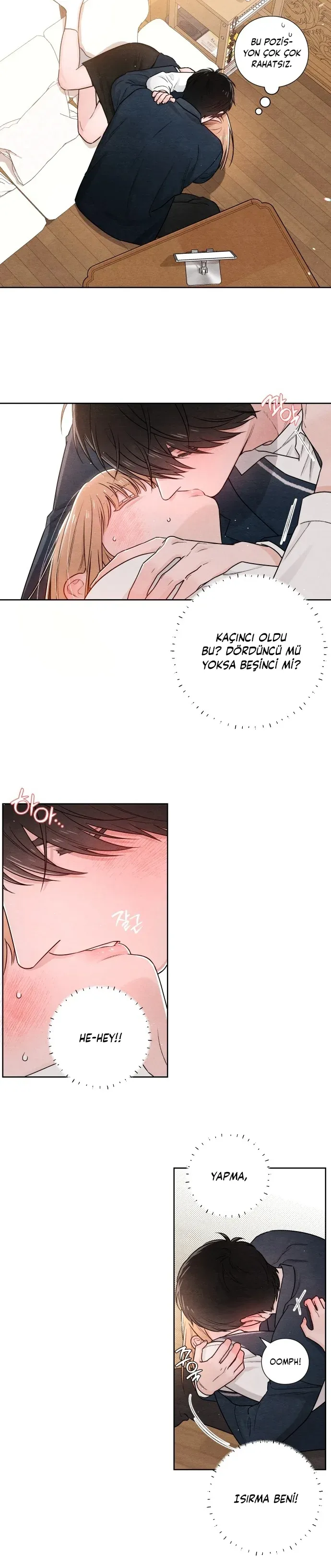 Sayfa 3