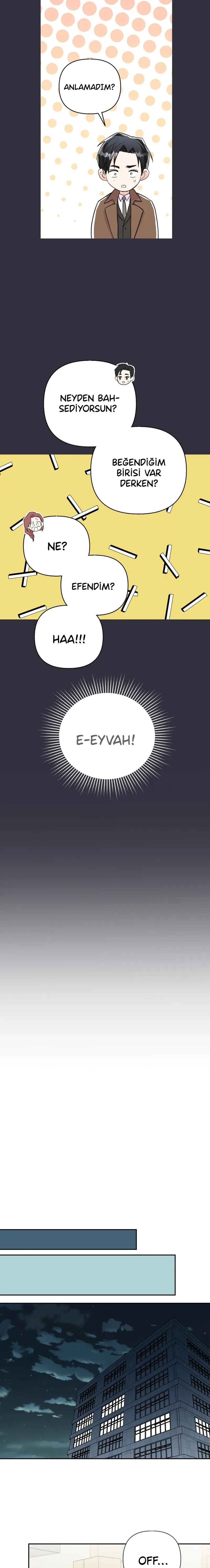 Sayfa 5