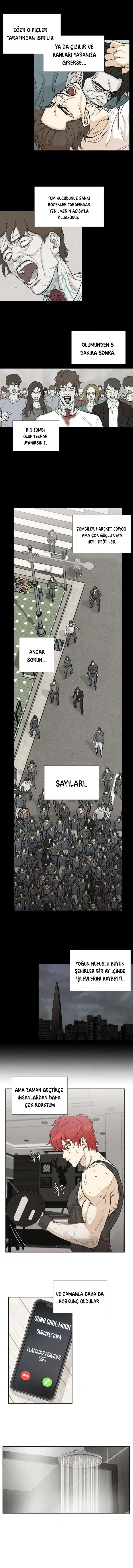 Sayfa 4