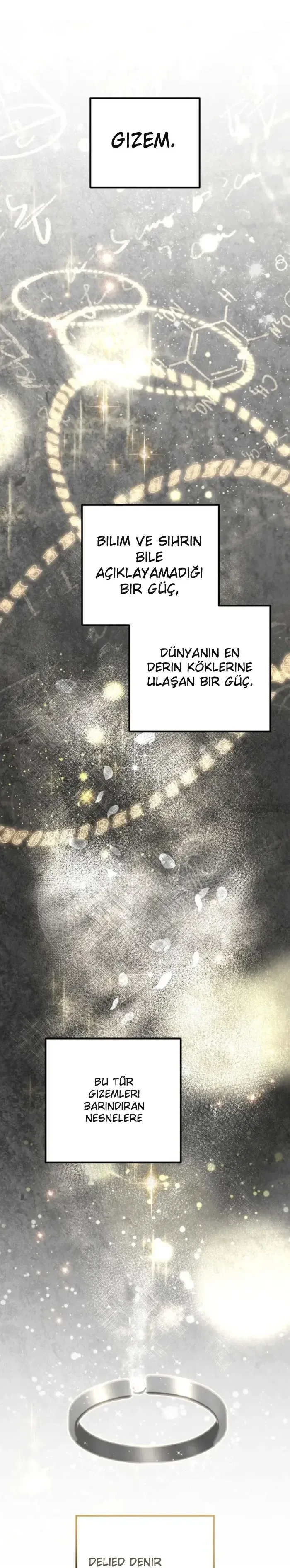 Sayfa 1