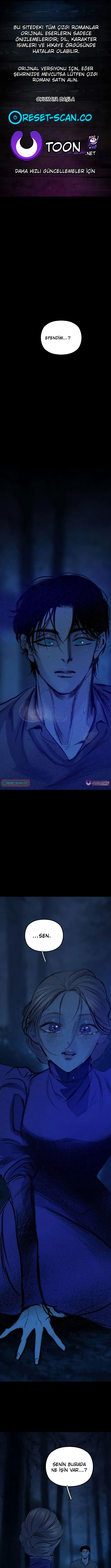 Sayfa 1
