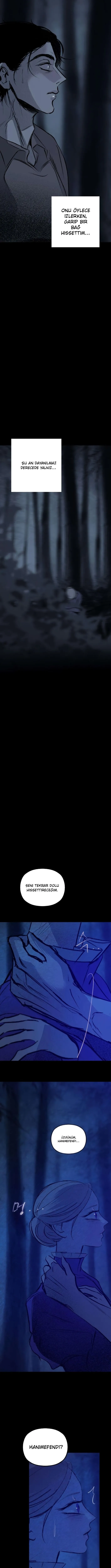 Sayfa 6