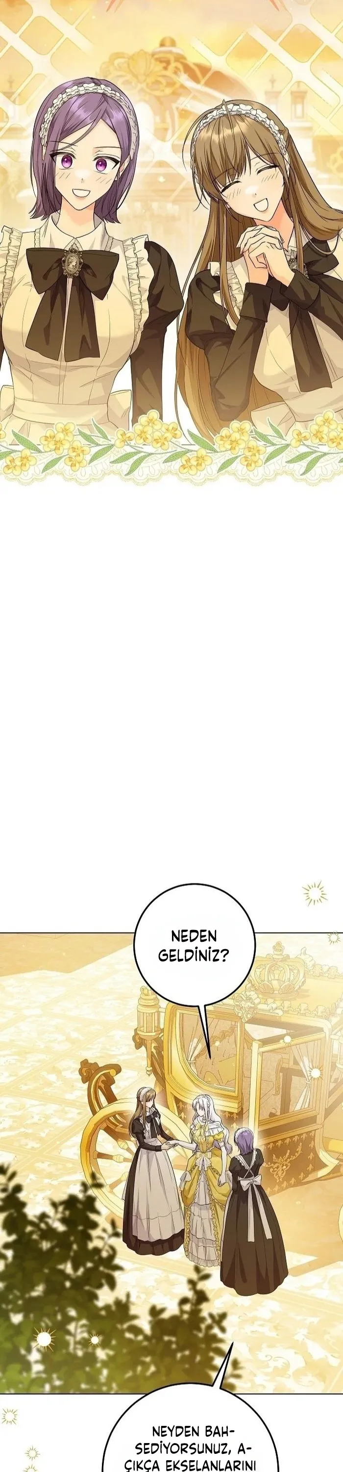 Sayfa 5