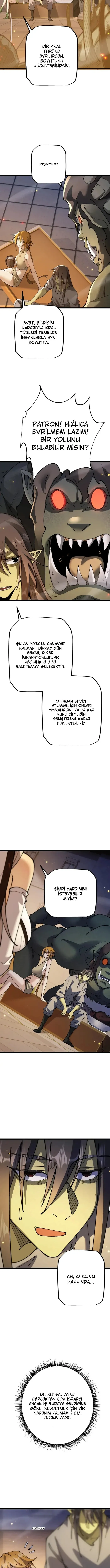 Sayfa 5